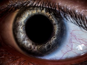 Macro close-up shot of human eye